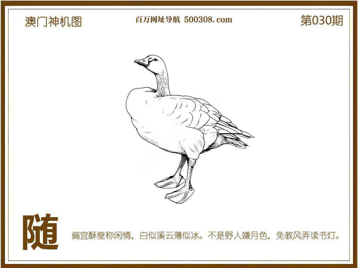 030期：悟入其图/相入非非/捉生肖/好图乐翻天/藏宝图/发财玄机图/澳门神机图