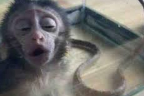 2026年第030期幽默猜测：窗边的叹息