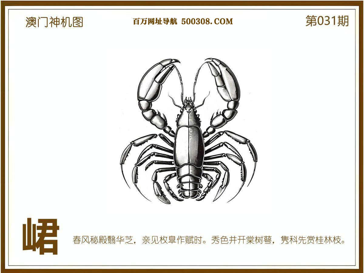 031期：悟入其图/相入非非/捉生肖/好图乐翻天/藏宝图/发财玄机图/澳门神机图