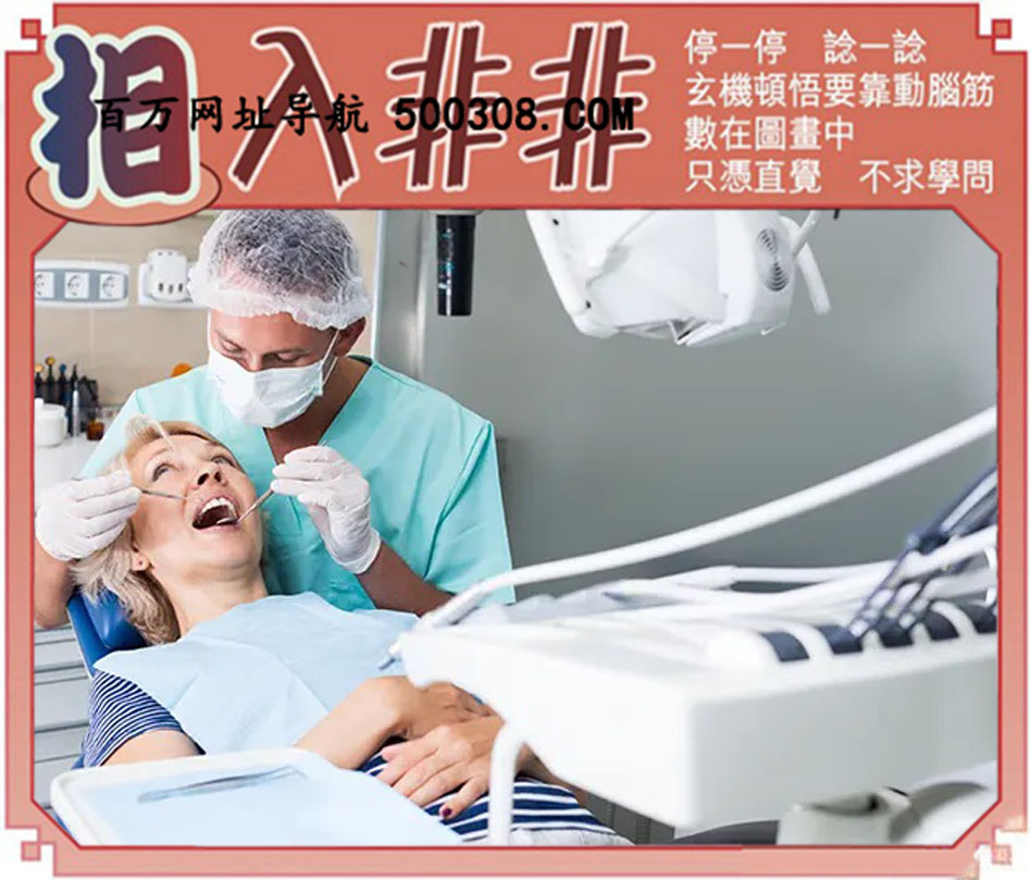 031期：悟入其图/相入非非/捉生肖/好图乐翻天/藏宝图/发财玄机图/澳门神机图