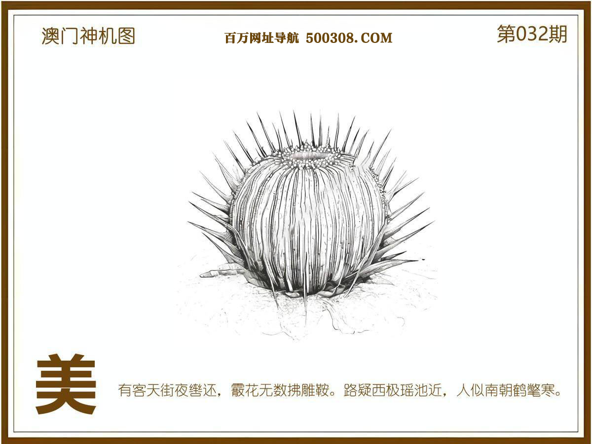 032期：悟入其图/相入非非/捉生肖/好图乐翻天/藏宝图/发财玄机图/澳门神机图