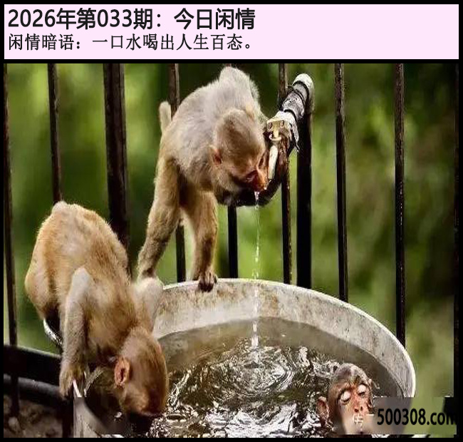 033�ڽ������飺һ��ˮ�ȳ�������̬��