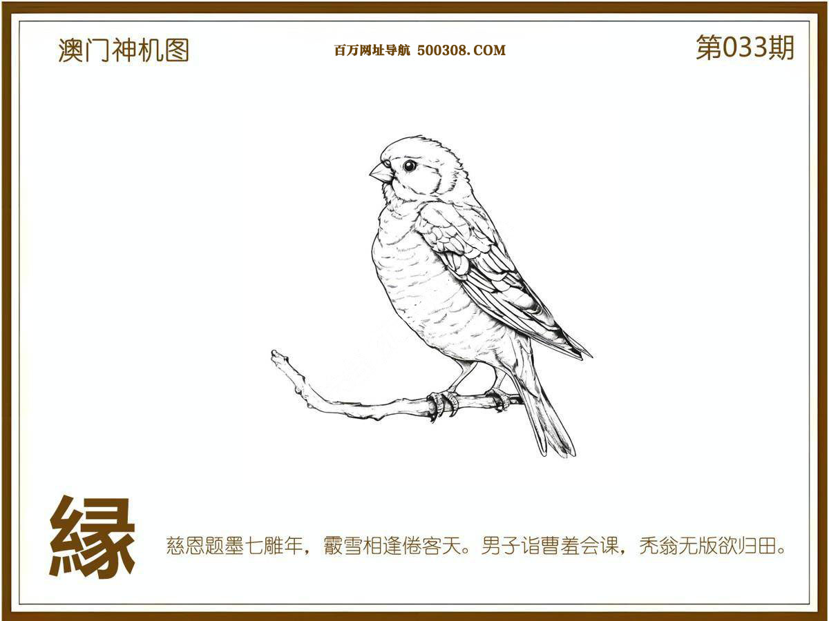 033期：悟入其图/相入非非/捉生肖/好图乐翻天/藏宝图/发财玄机图/澳门神机图