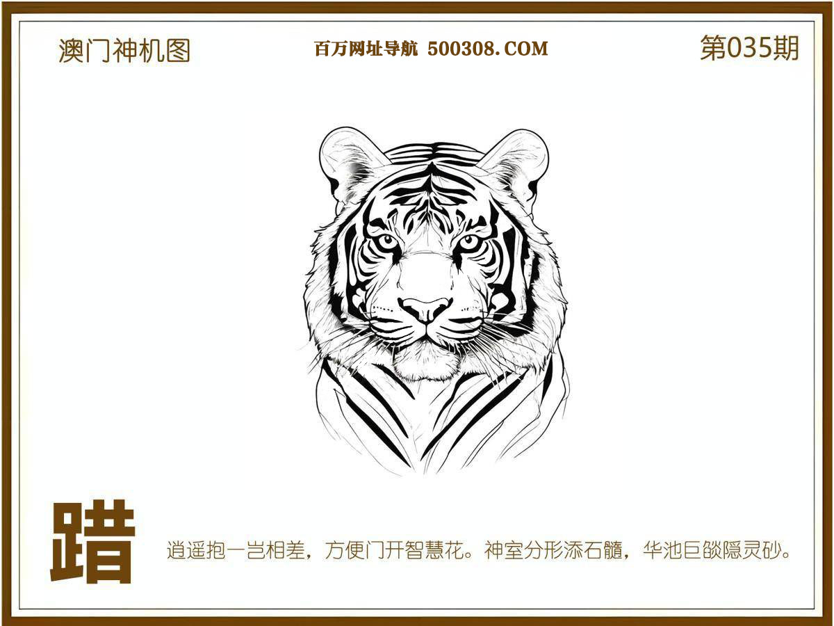 035期：悟入其图/相入非非/捉生肖/好图乐翻天/藏宝图/发财玄机图/澳门神机图