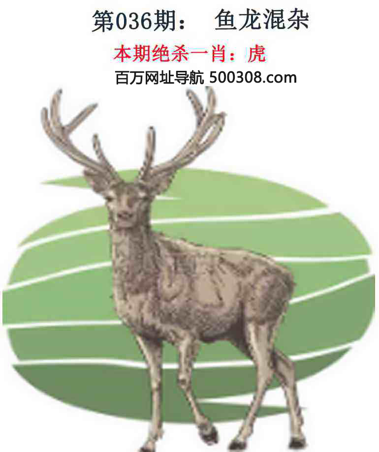 036�ڣ���Ǯ�������湦��