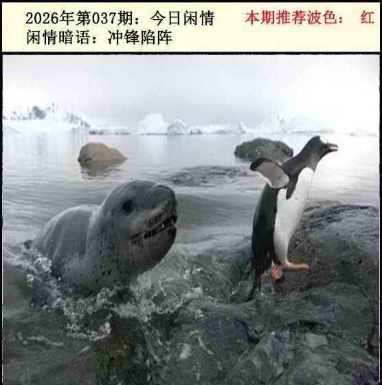 037�ڣ���������2