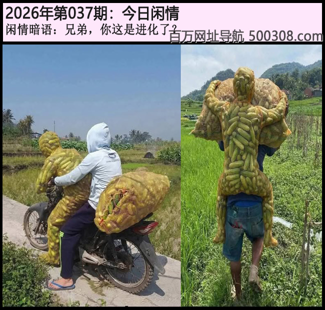 037�ڽ������飺�ֵܣ������ǽ����ˣ�