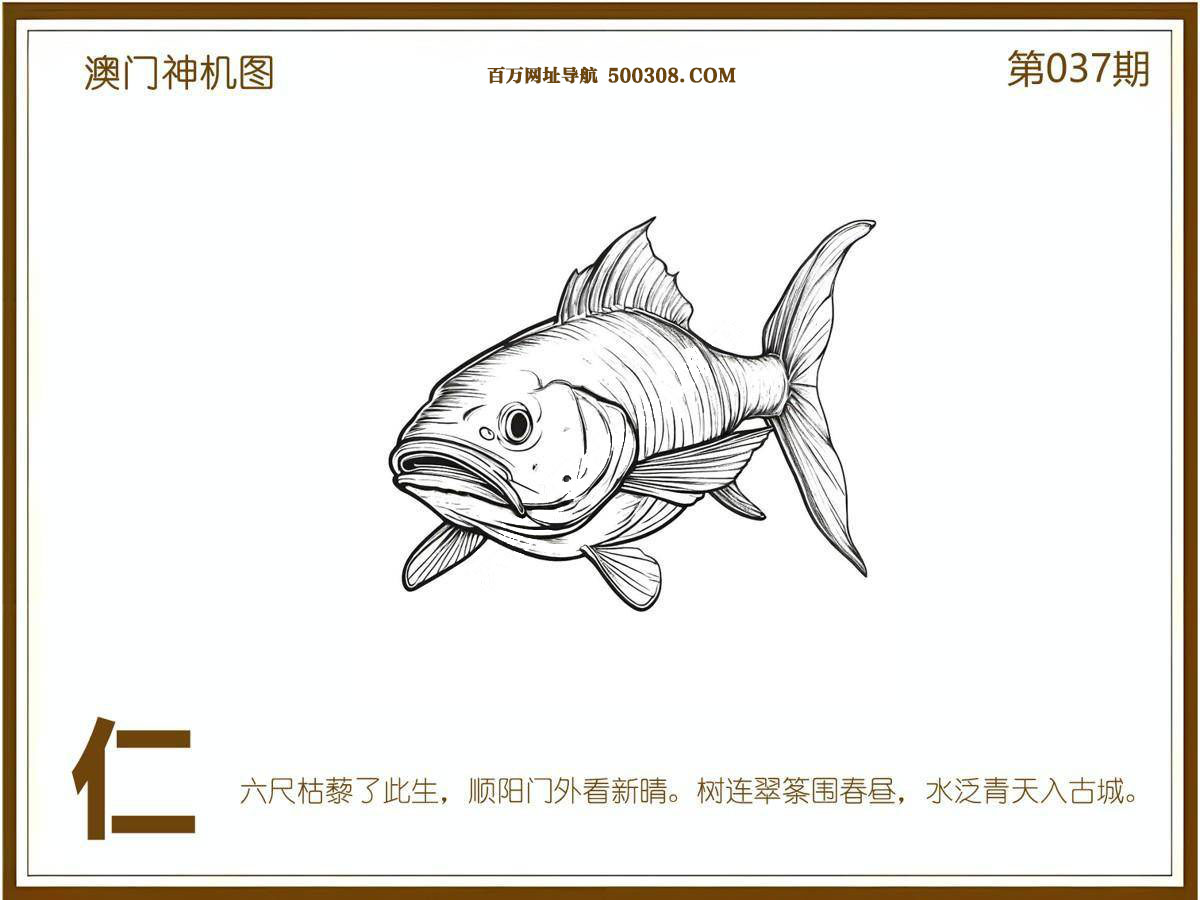 037期：悟入其图/相入非非/捉生肖/好图乐翻天/藏宝图/发财玄机图/澳门神机图