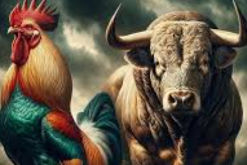 2026年第037期幽默猜测：久别的院子朋友