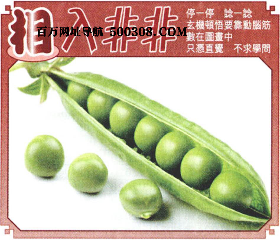 037期：悟入其图/相入非非/捉生肖/好图乐翻天/藏宝图/发财玄机图/澳门神机图