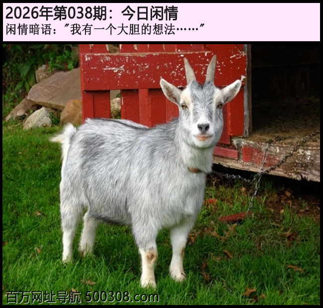 038�ڽ������飺"����һ���󵨵��뷨����"