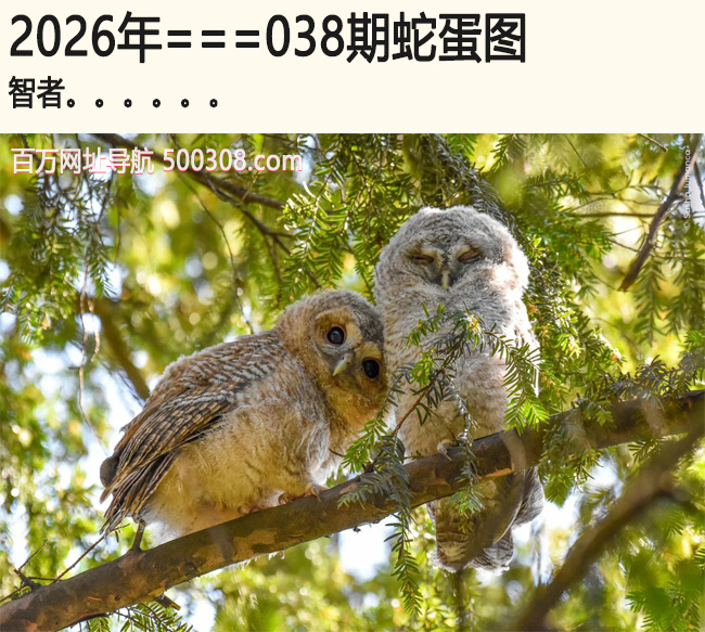 038���ߵ�ͼ������.....