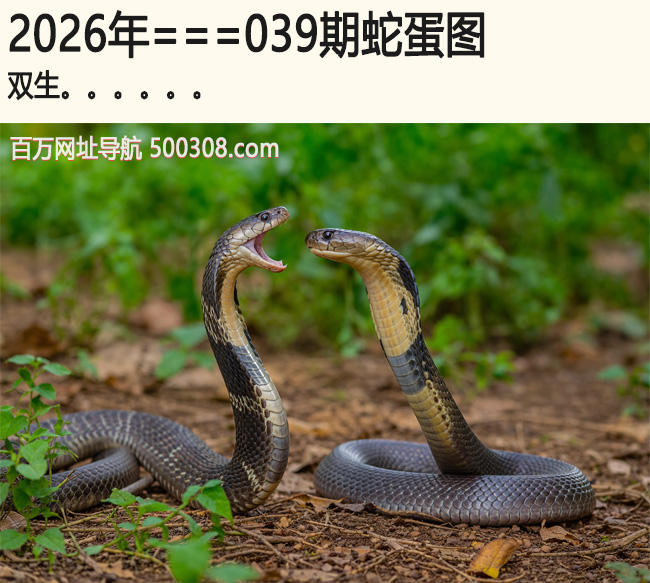 039���ߵ�ͼ��˫��.....