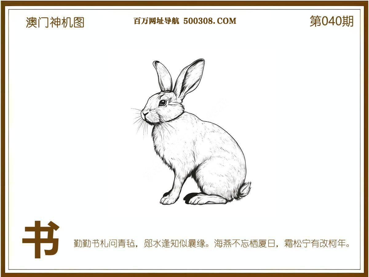 040期：悟入其图/相入非非/捉生肖/好图乐翻天/藏宝图/发财玄机图/澳门神机图