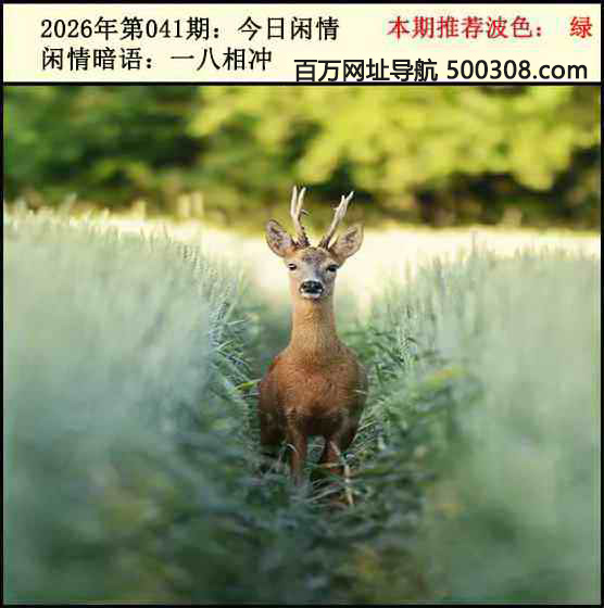 041�ڣ���������2