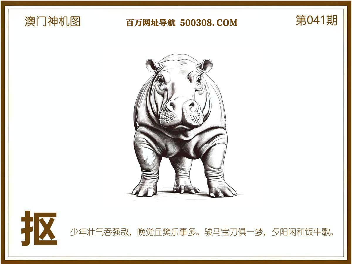 041期：悟入其图/相入非非/捉生肖/好图乐翻天/藏宝图/发财玄机图/澳门神机图