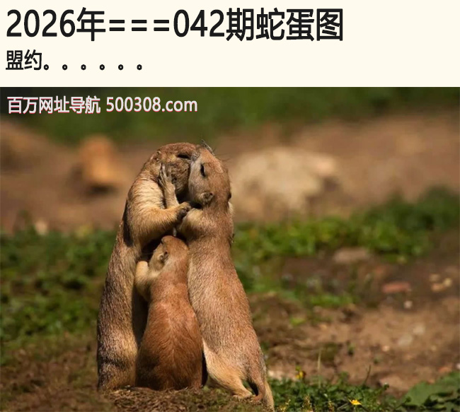 042���ߵ�ͼ����Լ.....