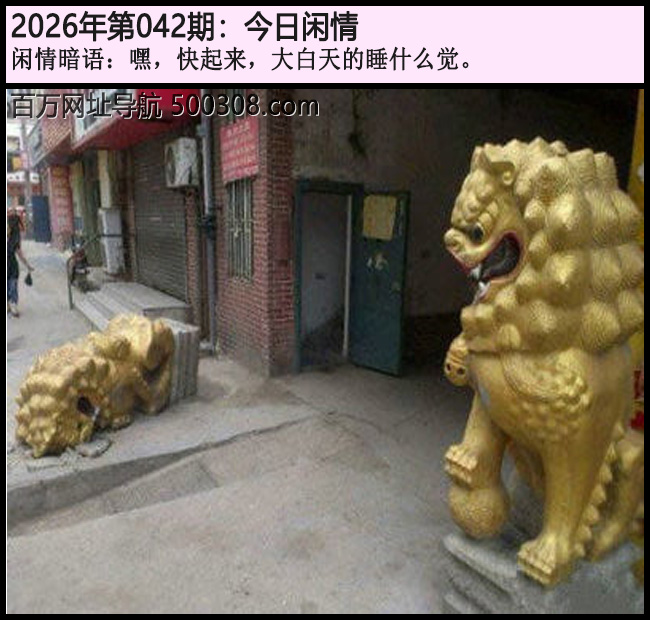 042�ڽ������飺�٣���������������˯ʲô����