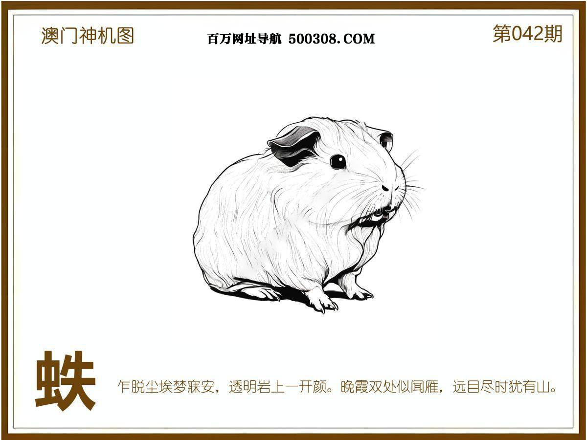 042期：悟入其图/相入非非/捉生肖/好图乐翻天/藏宝图/发财玄机图/澳门神机图