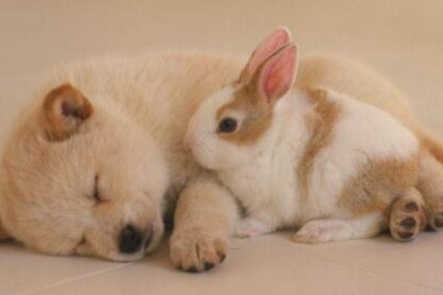 2026���045����Ĭ�²⣺�����µ�����