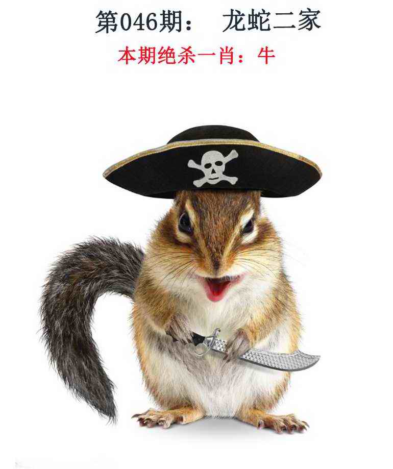 046�ڣ���Ǯ�������湦��