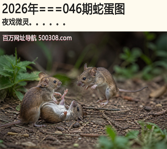 046���ߵ�ͼ��ҹϷ΢��.....