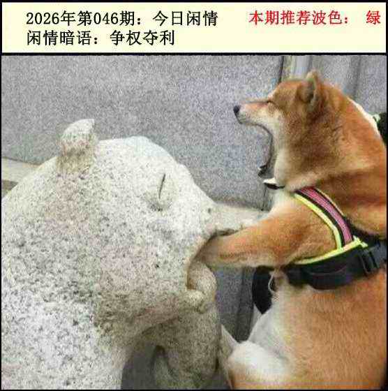 046�ڣ���������2