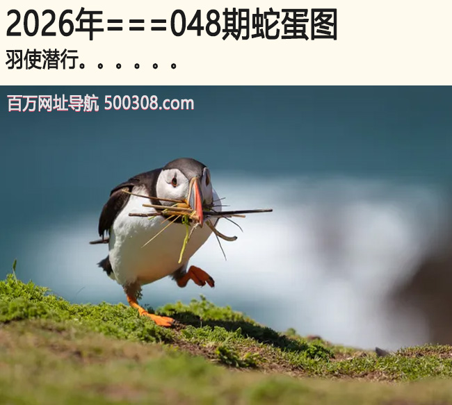 048���ߵ�ͼ����ʹǱ��.....