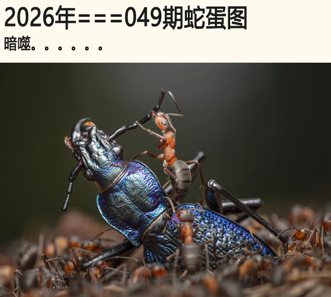 049���ߵ�ͼ������.....