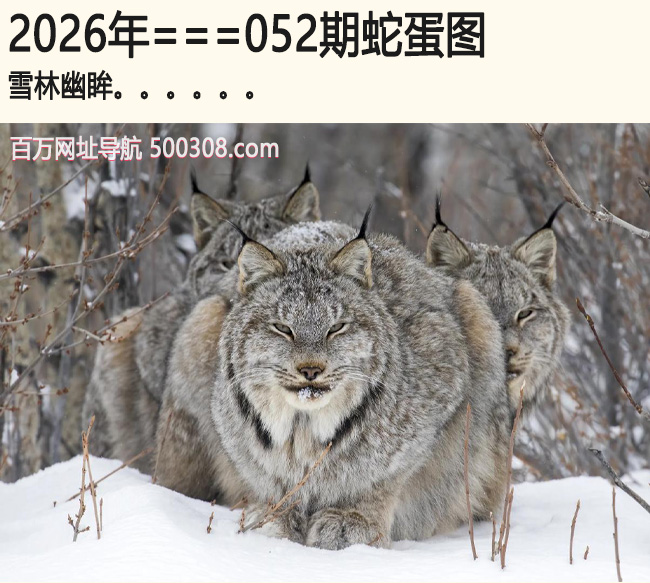052���ߵ�ͼ��ѩ������.....