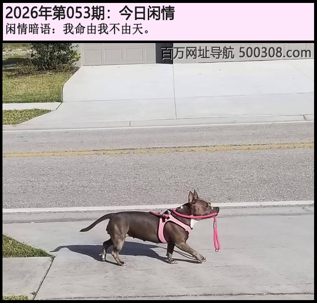 053�ڽ������飺�������Ҳ����졣