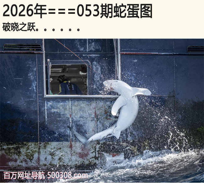 053���ߵ�ͼ������֮Ծ.....