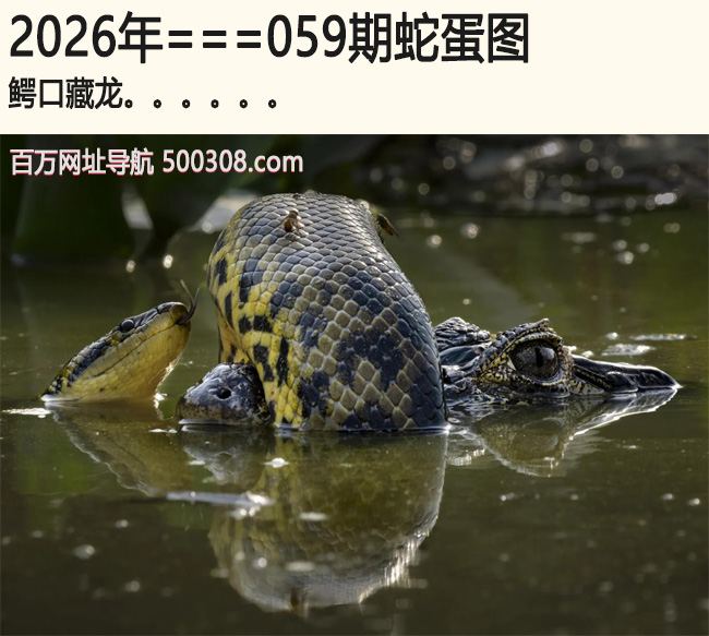 059���ߵ�ͼ�����ڲ���.....