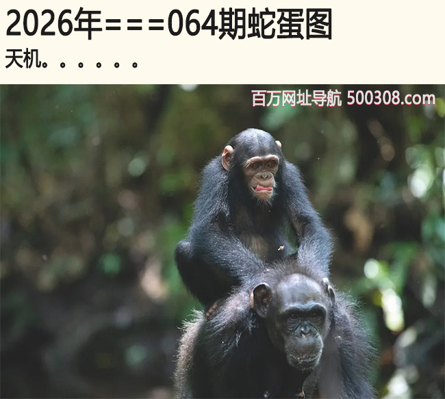 064���ߵ�ͼ�����.....