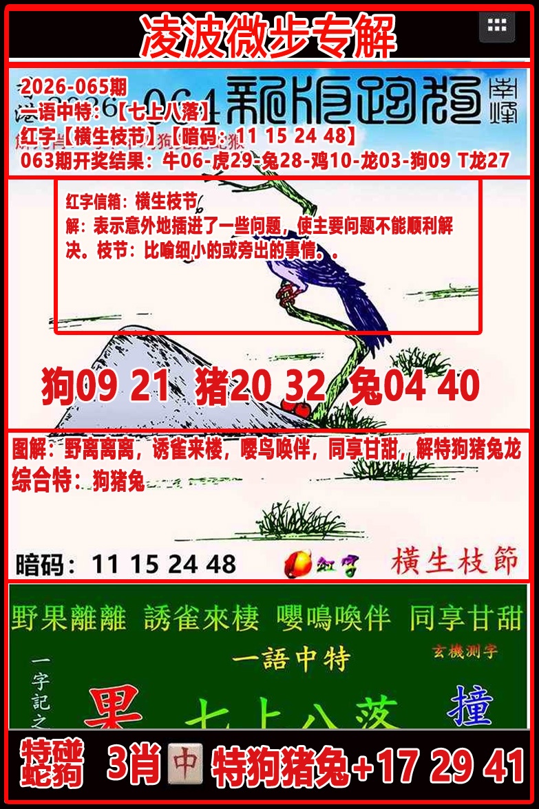 063期：凌波微步专解跑狗