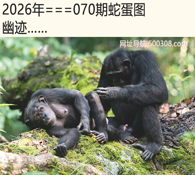 070���ߵ�ͼ���ļ�.....