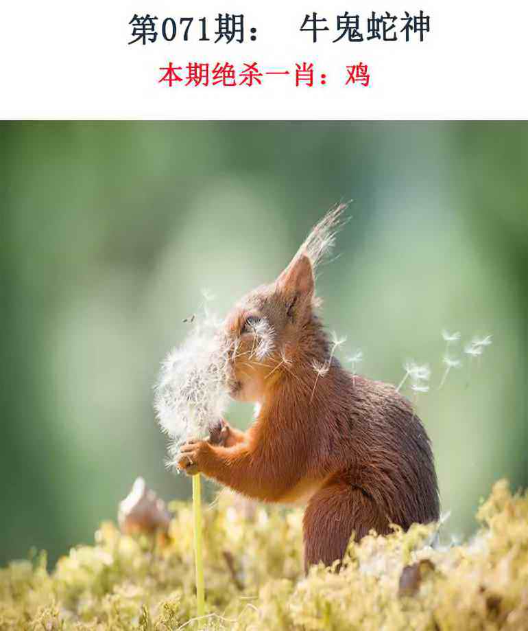 071�ڣ���Ǯ�������湦��