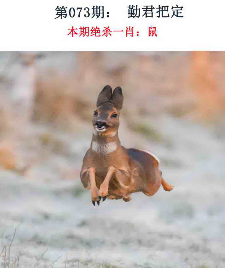 073�ڣ���Ǯ�������湦��