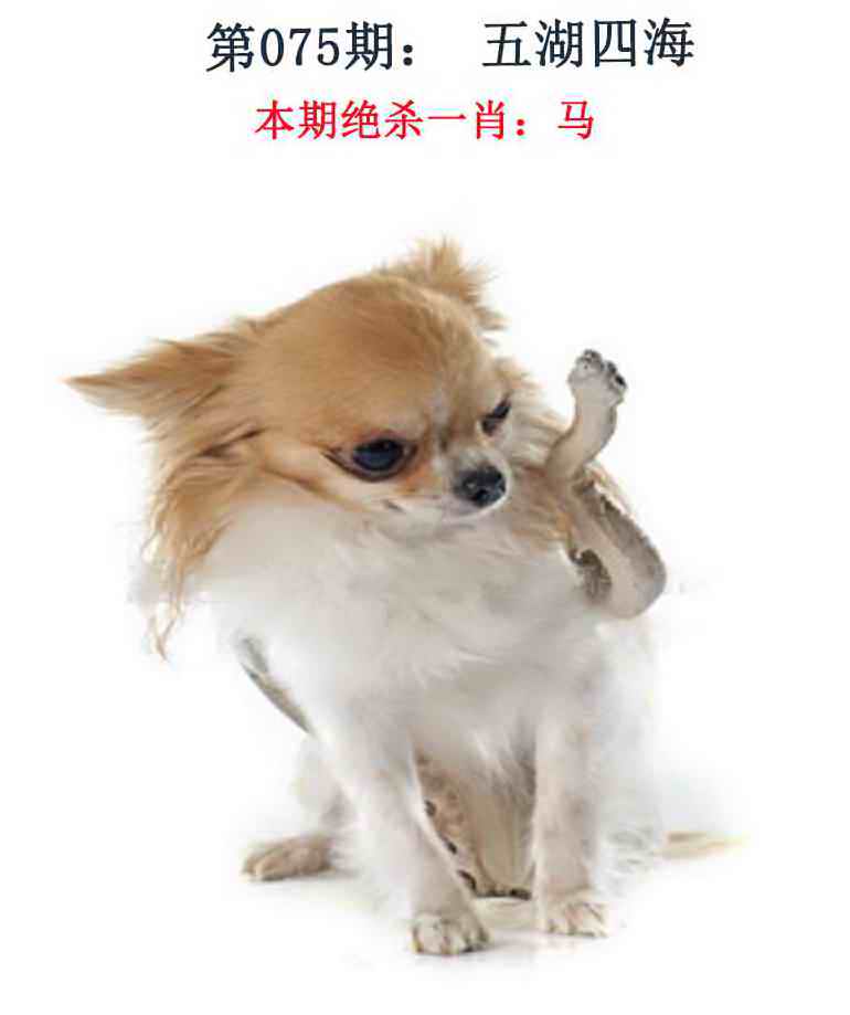 075�ڣ���Ǯ�������湦��