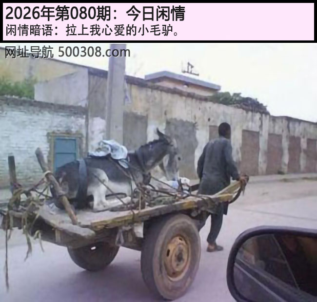080�ڽ������飺�������İ���Сë¿....