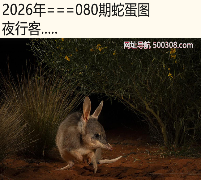 080���ߵ�ͼ��ҹ�п�.....