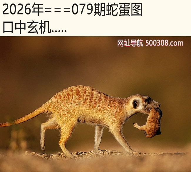 079���ߵ�ͼ����������.....
