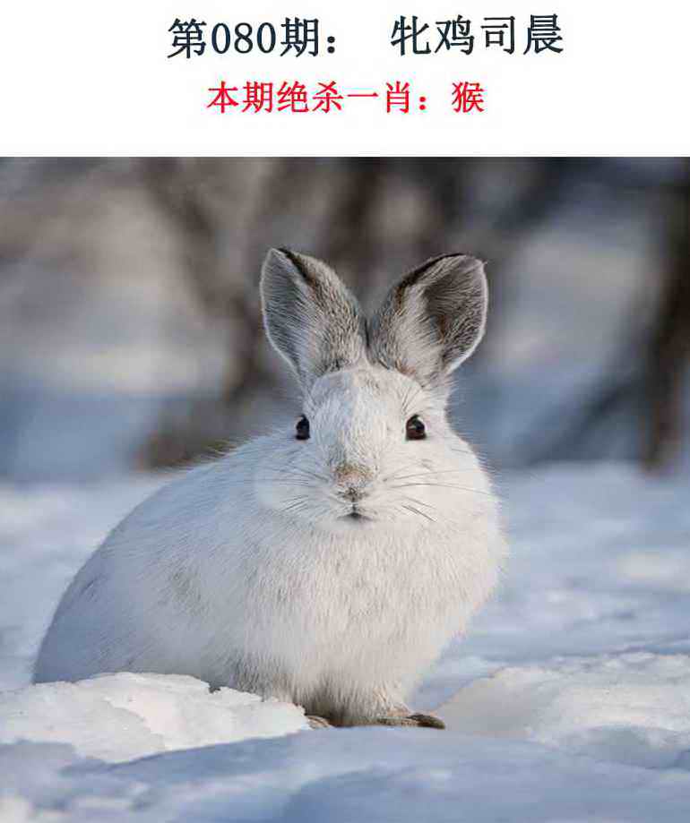 080�ڣ���Ǯ�������湦��
