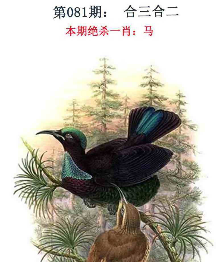 081�ڣ���Ǯ�������湦��