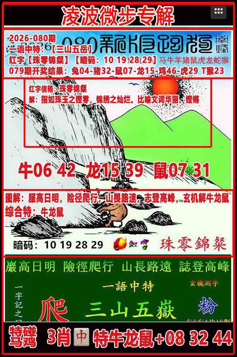 081�ڣ��貨΢��ר���ܹ�
