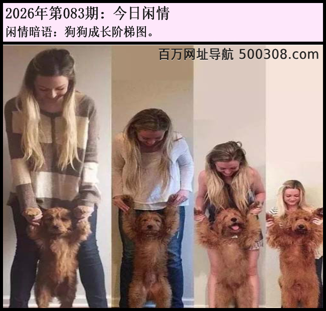 083�ڽ������飺�����ɳ�����ͼ��