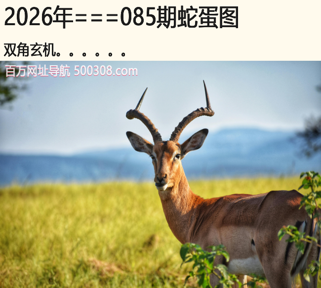 085���ߵ�ͼ��˫������.....