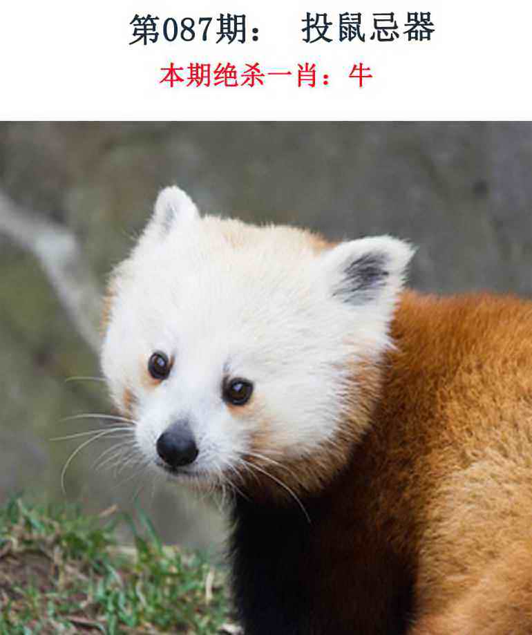 087�ڣ���Ǯ�������湦��