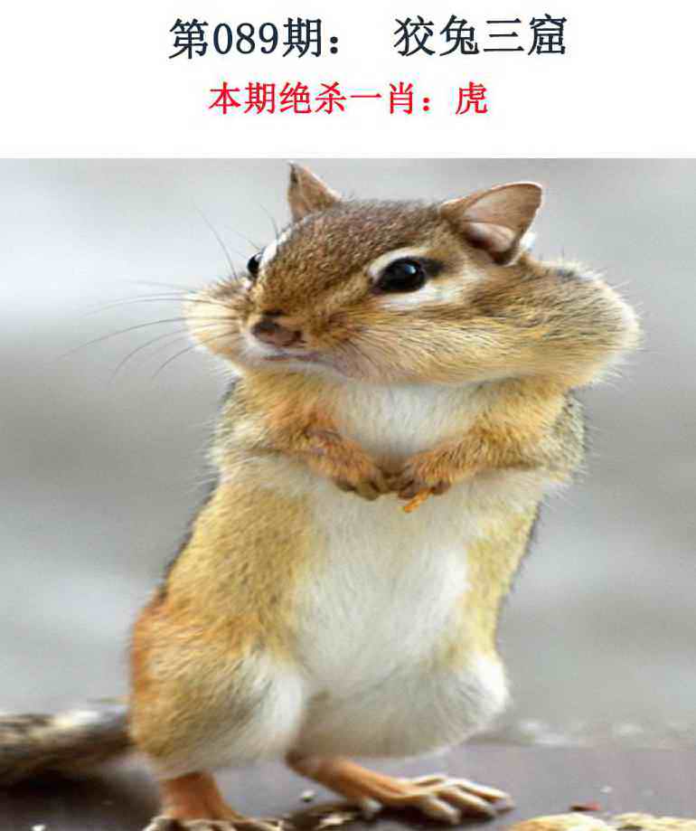 089�ڣ���Ǯ�������湦��