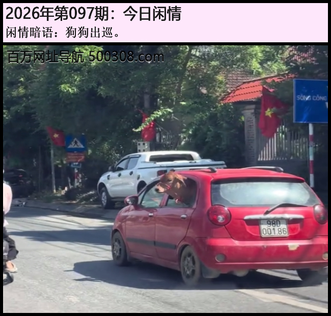 097�ڽ������飺������Ѳ��